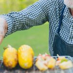 Senior man relax grilling corn and other late summer produce outdoors on the grill in a backyard