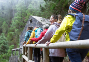 Group of women with different ages and ethnicities having fun walking in the woods enjoying cool weather activities